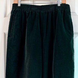 Talbots Velvet Pants